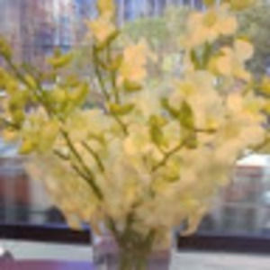 Meet your Posher, Martha